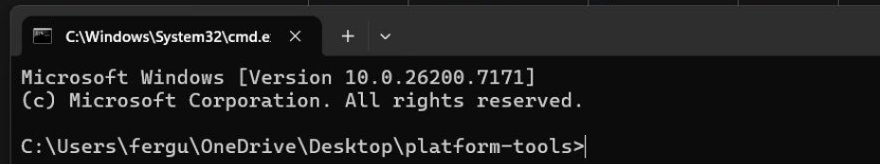 connected to 192.168.1.100:5555