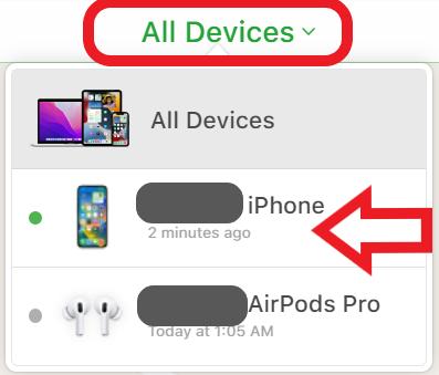 select iPhone in iCloud