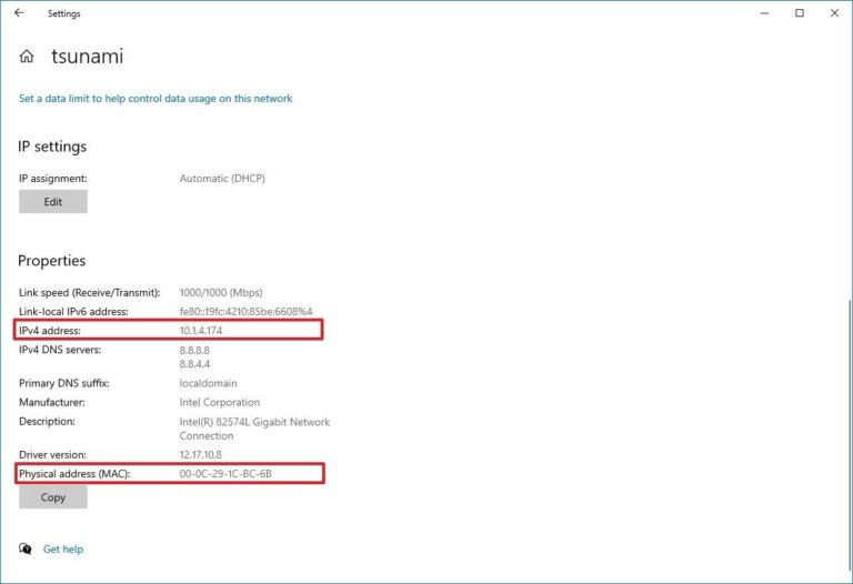 copy IP and Mac address