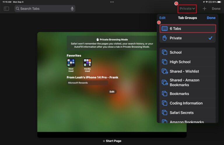 exit private browsing on iPad