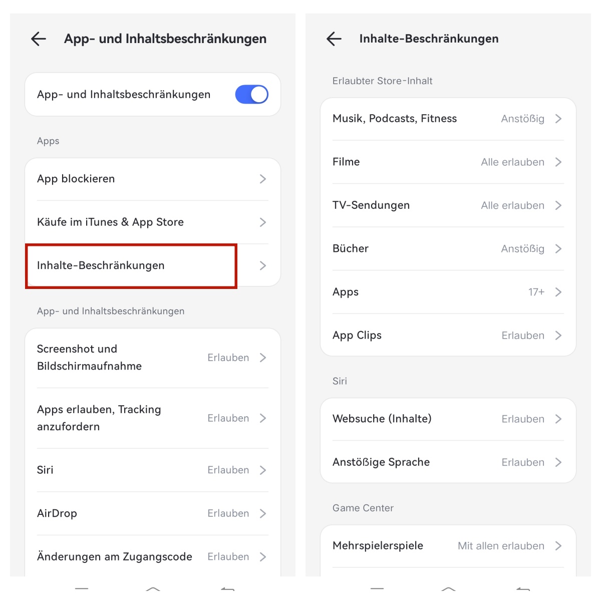 Inhalte Beschränkungen für den Store