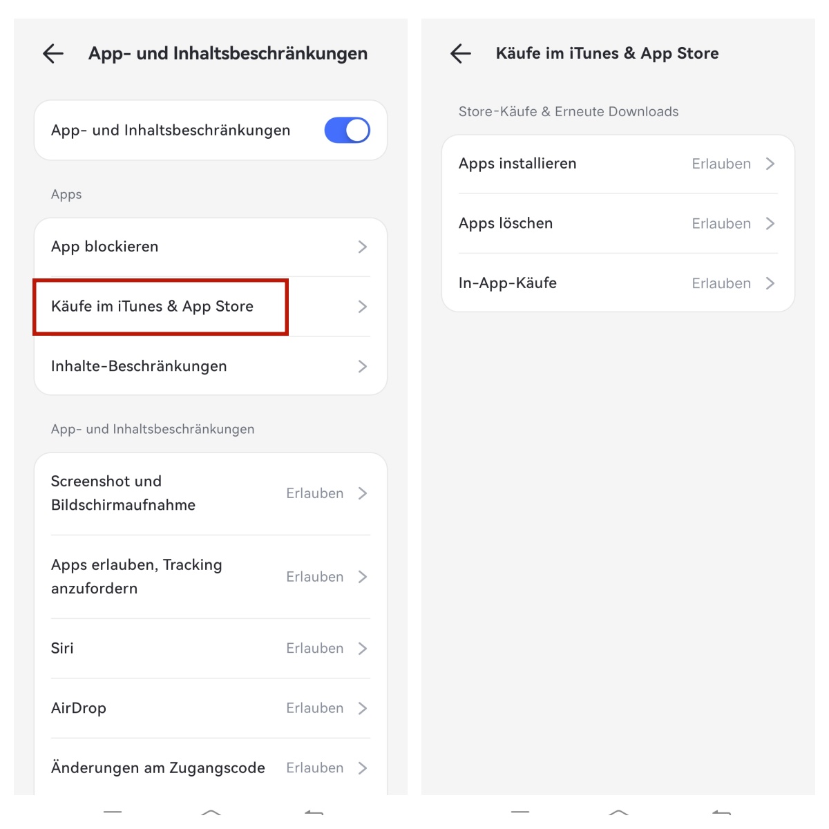 Käufe im iTunes & App Store