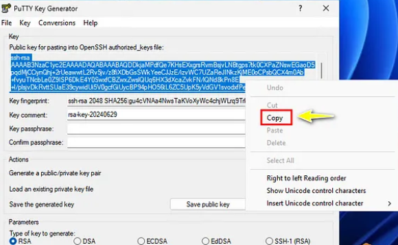 copiar información clave.jpg