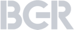 logo bgr grey