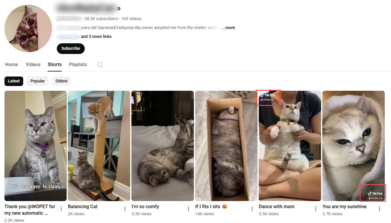 Ver TikTok sin la aplicación a través de otras redes sociales